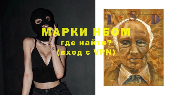 стафф Протвино