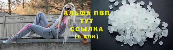 PSILOCYBIN Богородицк