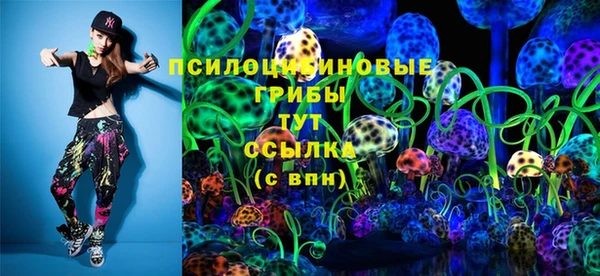 твердый Богданович