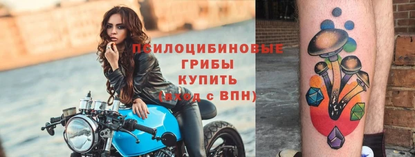 твердый Богданович